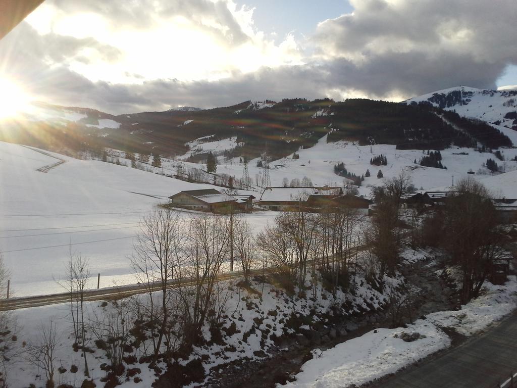 Onemooshof Apartment Maria Alm am Steinernen Meer Bagian luar foto